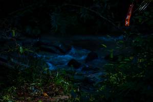 BIB: 
                            <button type="button" onclick="openModal(19307251)" class="btn btn-primary btn-sm float-right btn-popup" data-toggle="modal" data-target=".modal-high-quality">
                        <i class="fas fa-shopping-cart"></i> Add to Cart
                    </button>
                                            <button type="button" onclick="isThisMe(19307251, true)" class="btn btn-success btn-sm float-right btn-popup btn-isme hidden" data-toggle="tooltip" data-placement="bottom" title="นี่คือรูปของคุณใช่ไหม คลิกที่นี่เพื่อเอาเข้าอัลบั้ม">
                        <i class="fas fa-plus"></i> Add to album
                    </button>
                    <button type="button" onclick="isThisMe(19307251, false)" class="btn btn-warning btn-sm float-right btn-popup btn-isnotme hidden">
                        <i class="fas fa-ban"></i> Remove from album
                    </button>